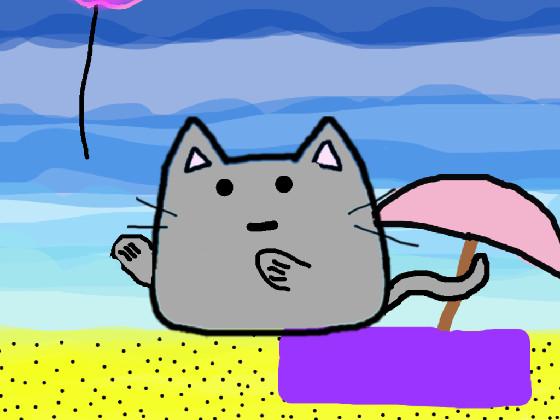 Kitten Story