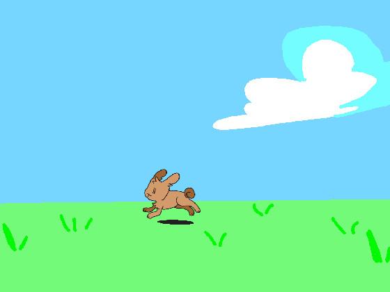 Bunny Run + Animation