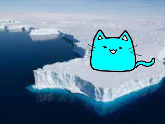 Frozen Solid Cat