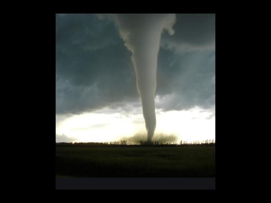 tornado siren - copy
