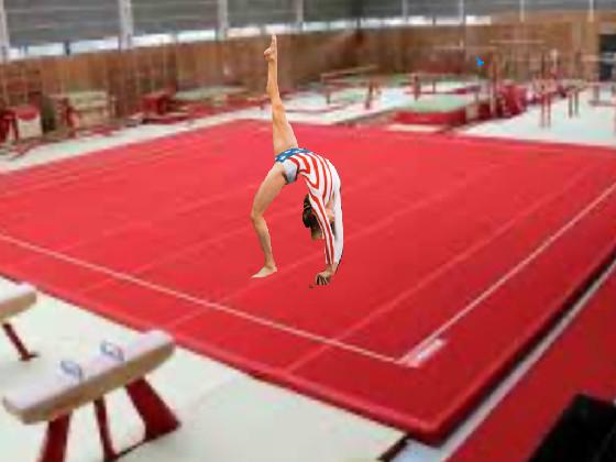 gymnast arena