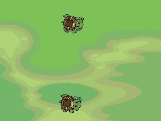 Turtle Trails 2