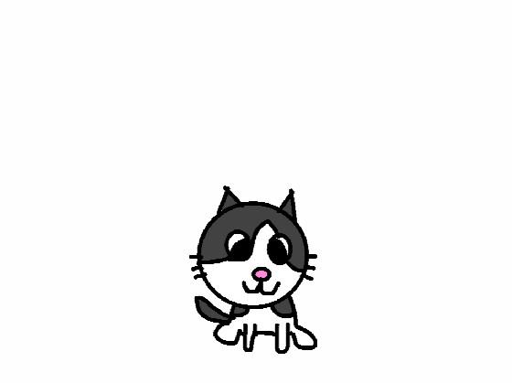 Whiskers