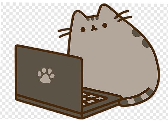 Pusheen loves the computer - copy