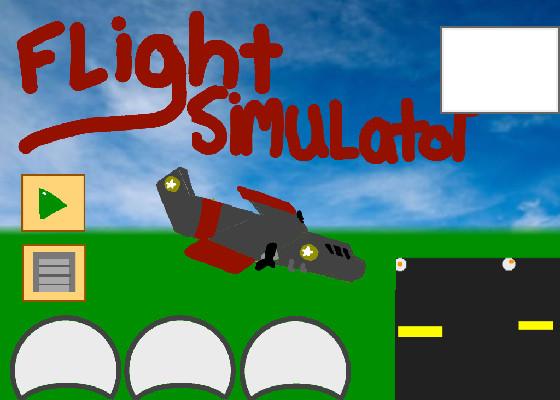 Flight Simulator  1