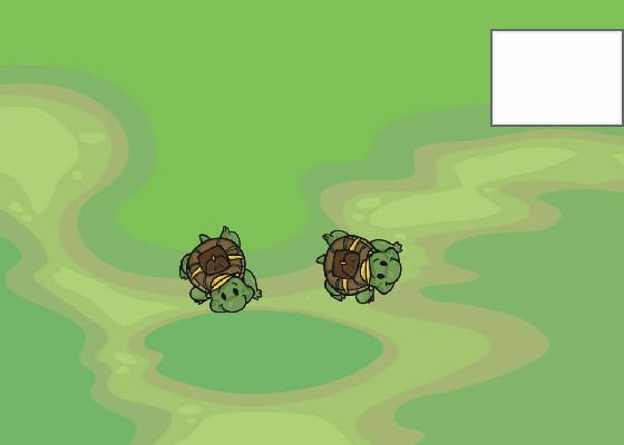 Turtle Trails 1