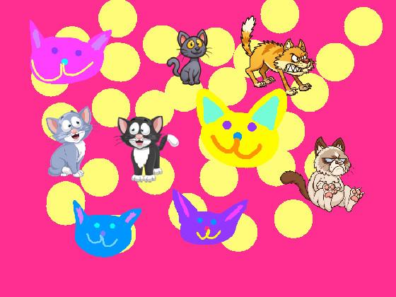 meow!!!!!!!!