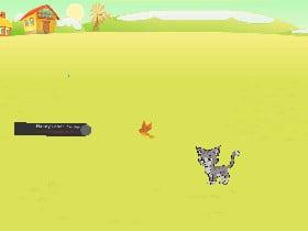 play with the cat