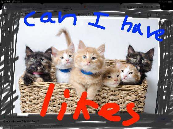 kitties want likes