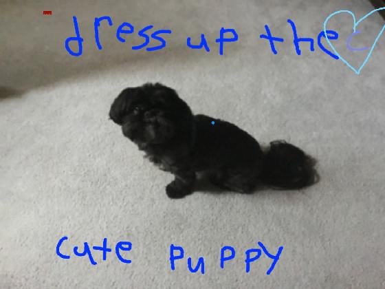dress up the cute puppy 1 1