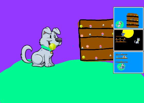 help puppy