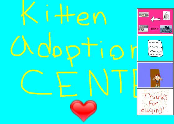 Kitten Adoption Center