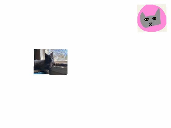 a sad but real story