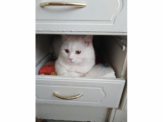 My Project of shyness