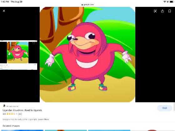 Don’t touch ugandan knuckles 1