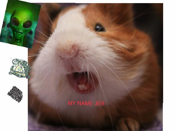 my name jeb