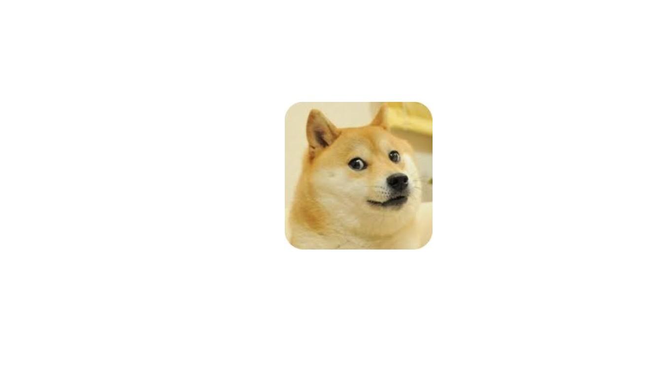 scary doge (in progress)