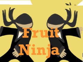 Fruit Ninja 1 1