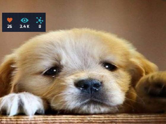  please give me more likes🥺🥺 2