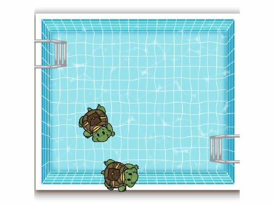swiming Turtles