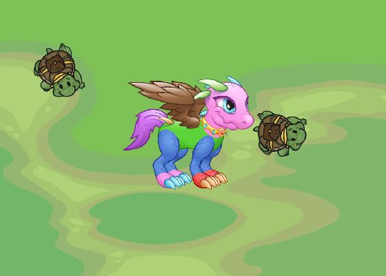 Turtle Trails 1