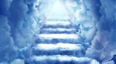 SAFE TYNKER NOT HACKEBEL