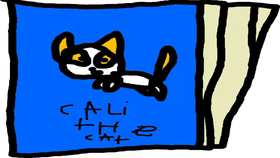 cali the cat