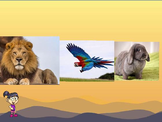Chose Lion Parrot or Rabbit