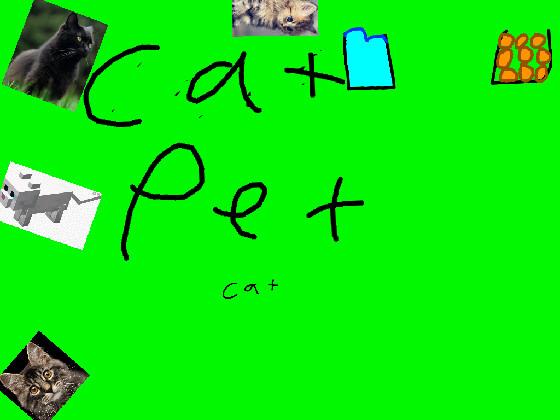cat pet v1.3(new cat)
