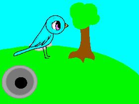 Bird walk Testing