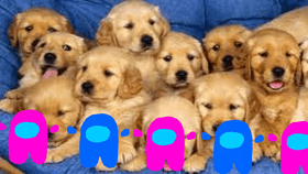 Among Us (Puppies)