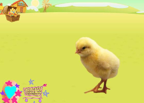 Chicken not click bait 1