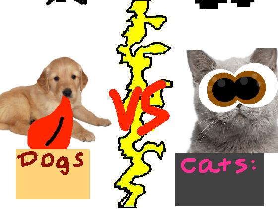 🐕Dogs vs Cats!!🐈