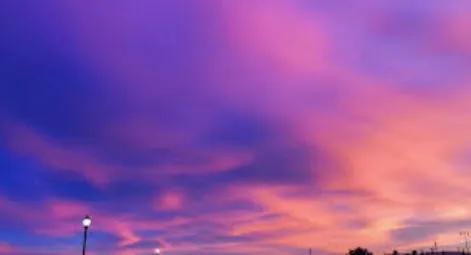 Here is Lily and Luna!