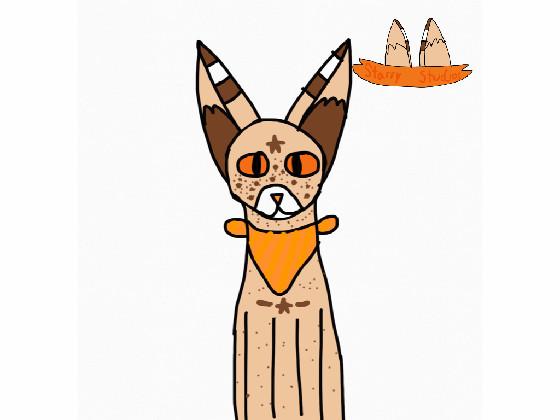 Welcome to starry studios!