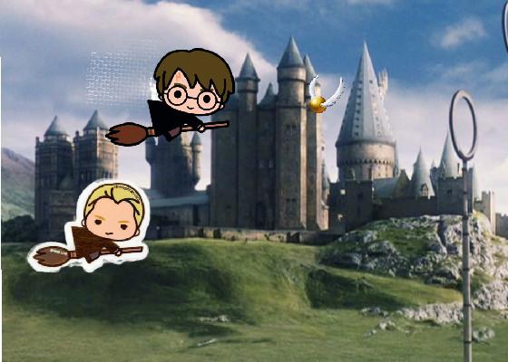 Harry Potter Quidditch Match