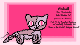 Pinksalt (My Warrior Cats OC)