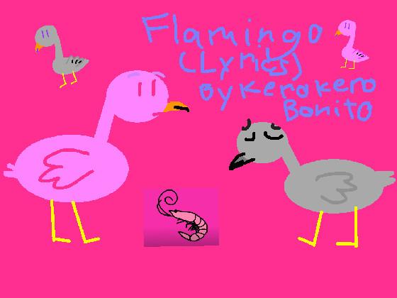 Flamingo Song Lyrics (English Version)