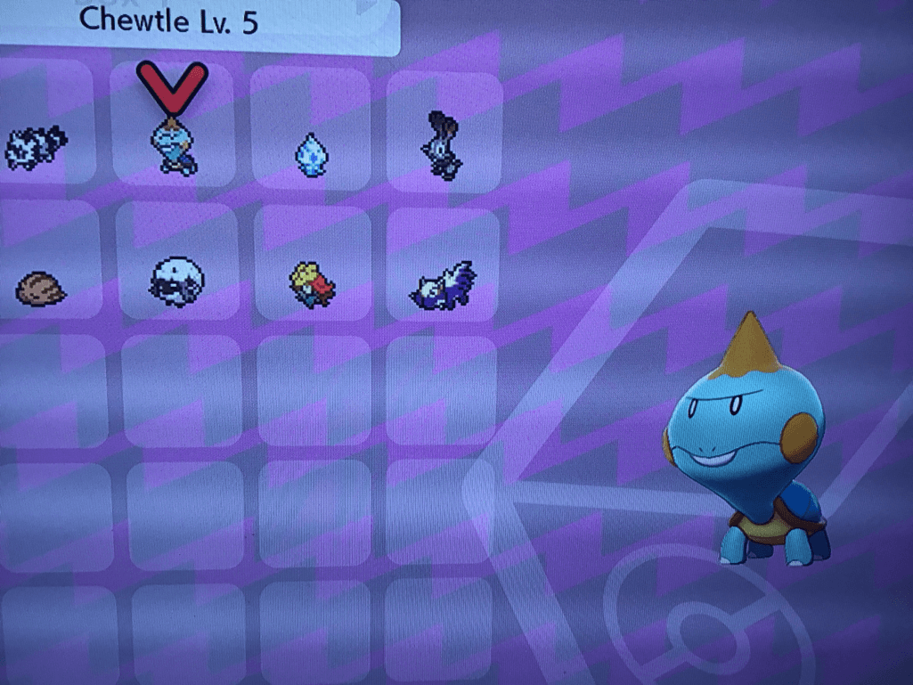 Chewtle For Trade!
