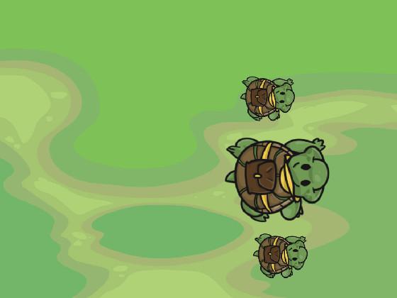 Turtle Trails 1