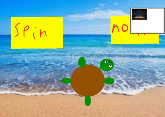 Turtle spin