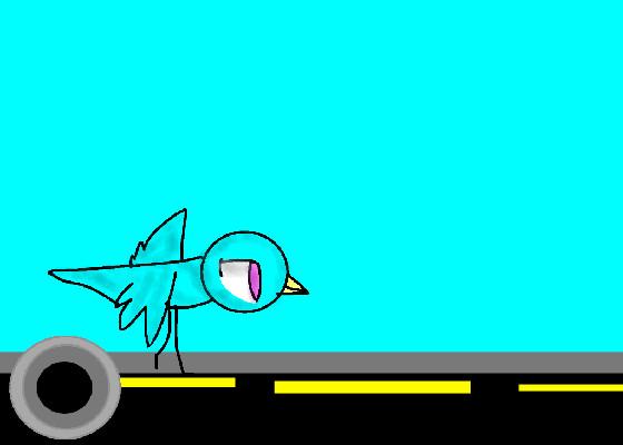 Bird Run Testing 2