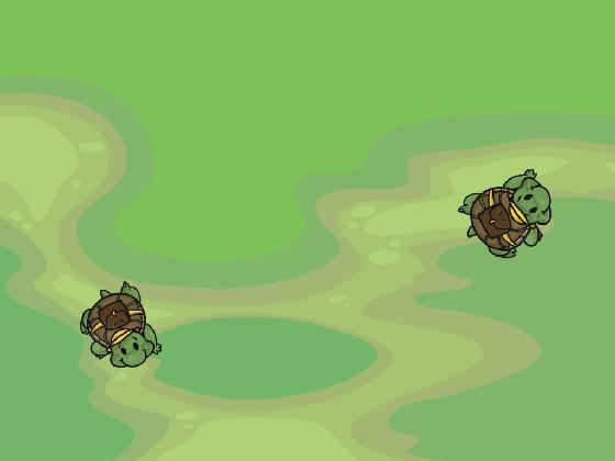 Turtle Trails 1