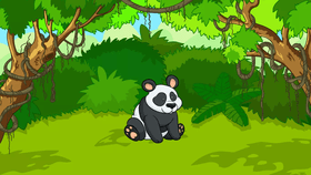 Jungle Quiz
