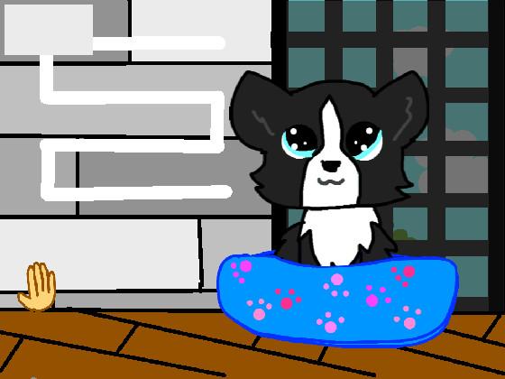 take care of a puppy! 1