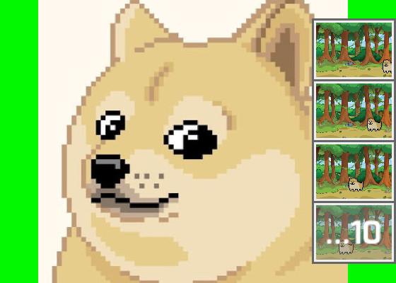 Doge show part 1 version 1