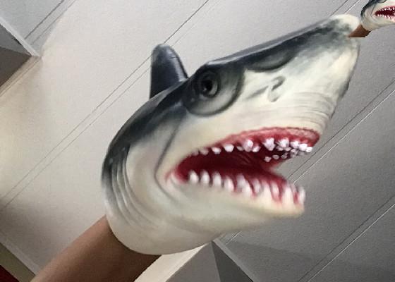shark puppet spinner 2