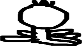 introducing  the bops