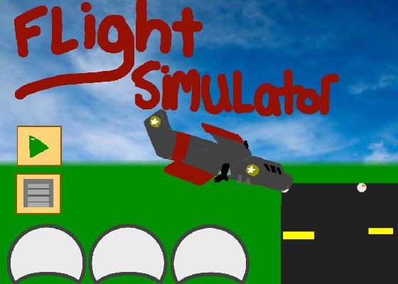 Flight Simulator 1
