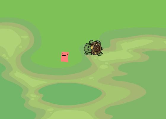 Turtle Trails